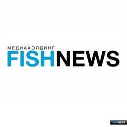 Охота на лося: способы, выбор оружия, советы опытных охотников