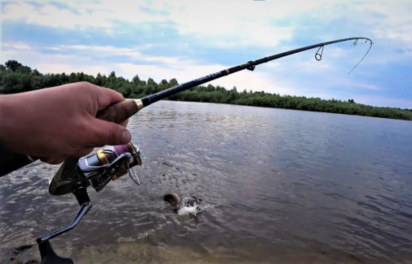 0bfd9654b4b60ae7d2a2fc02c9110f12