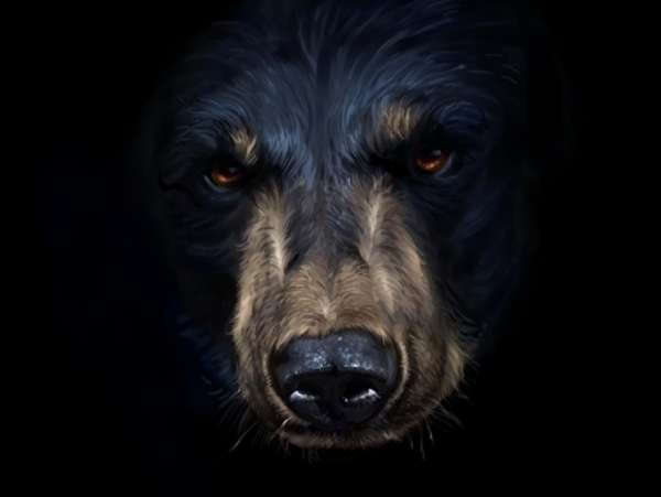 23d1f2bcace510fdc1a4211111080b69