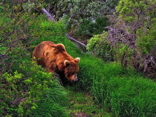 c06fe3a13edb532850de2590cb95ce21