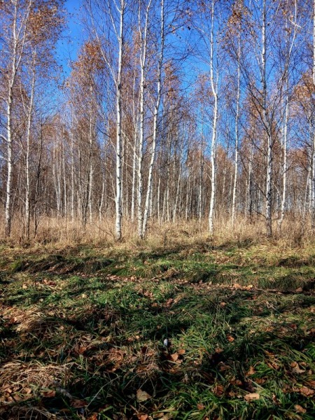 Всё об охоте и не только.